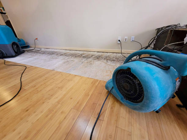 Professional Flood Damage Cleanup technician working in Alvada, OH